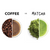 Coffee and matcha